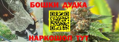 крисы Краснодар