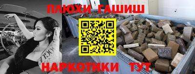 крисы Краснодар