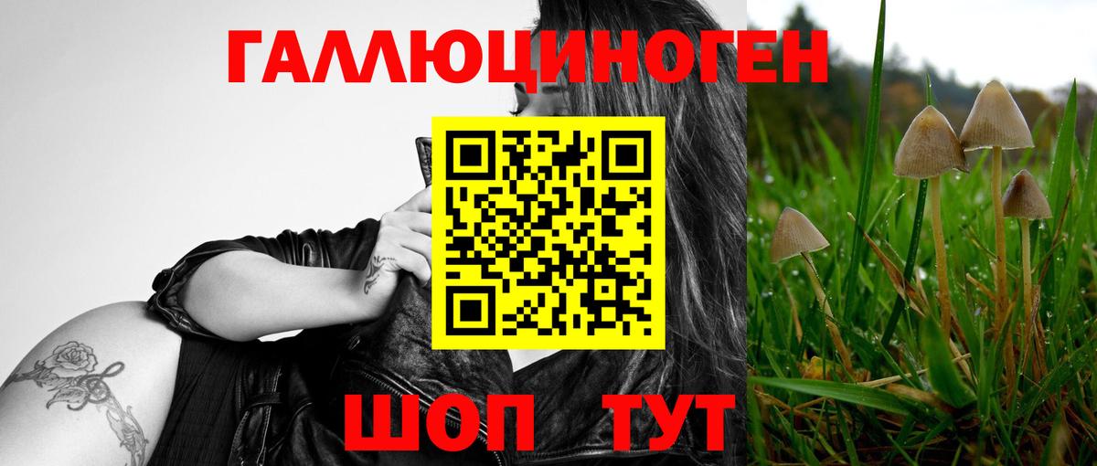 Псилоцибиновые грибы Psilocybe  Вход с VPN  Псилоцибиновые грибы MAGIC MUSHROOMS  Саяногорск 